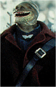 Toad {1993}