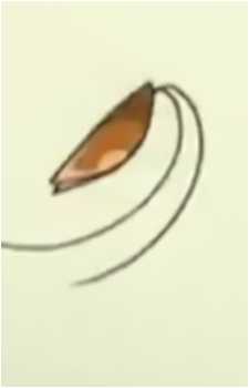 Chaba