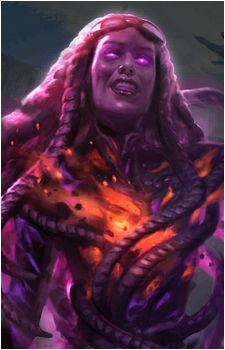 Braids's image