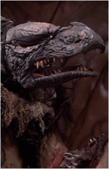 Image 6 Image 6
