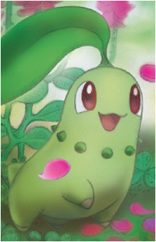 Chikorita