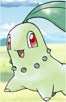 Chikorita