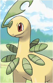 Chikorita
