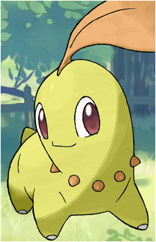 Chikorita