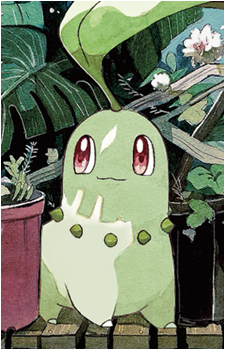 Image 31