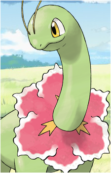 Chikorita