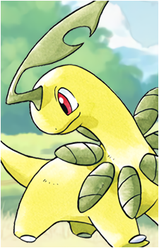 Chikorita
