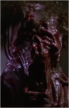 Image 3 Image 3