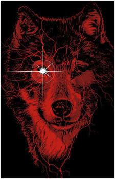 Image 22 Image 22