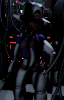 Image 30