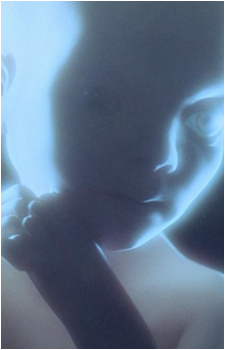 Image 4 - Art: Liz Moore Image 4