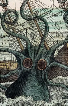 Image 3 of The Kraken
