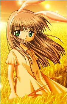 Mai Kawasumi