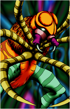 Kumootoko's image
