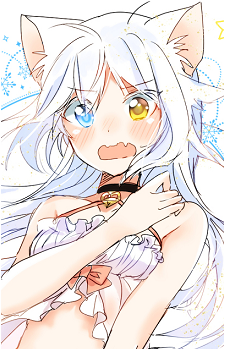 Yuki Shirakaba