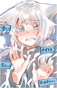 Yuki Shirakaba