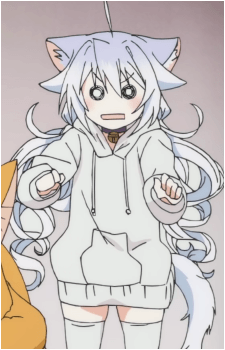 Yuki Shirakaba