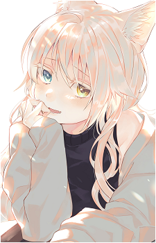 Yuki Shirakaba