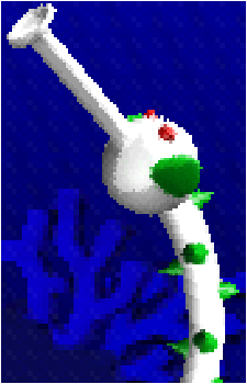 The Snorkel Snake's image