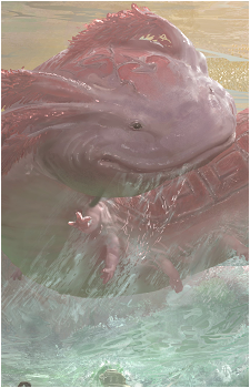 Xolatoyac's image