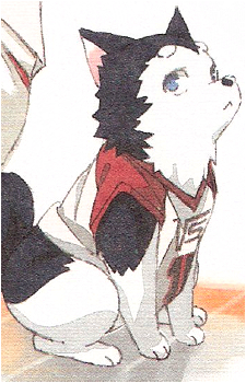 Image 8