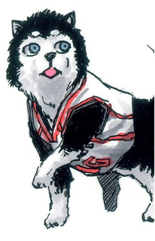 Image 18