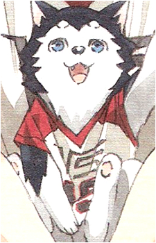 Image 7