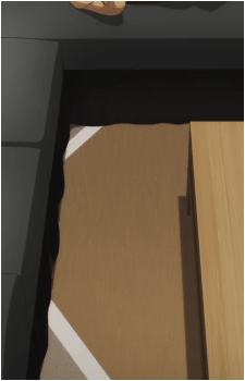 Shinobu Inuyose