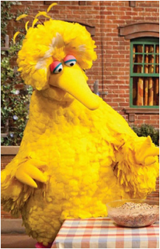 Big Bird