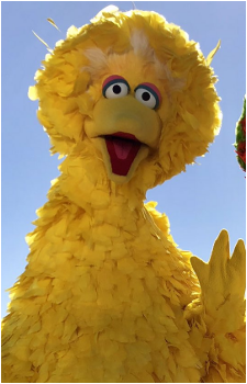 Big Bird