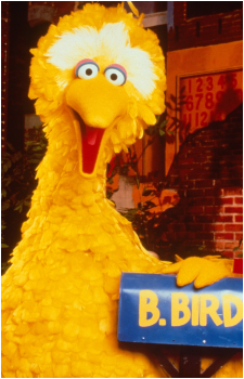 Big Bird's image