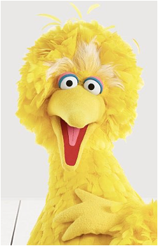Big Bird