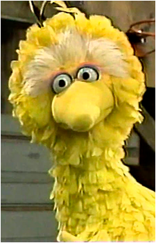 Big Bird