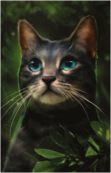 Cinderpelt's image