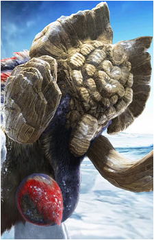 Gammoth's image