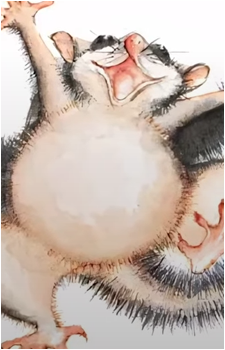 Hush {PM}'s image