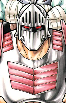 Robin Mask