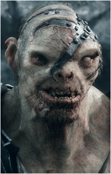 Bolg