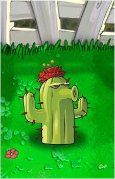 Cactus