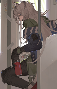 Image 6