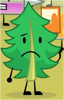 Fern's image