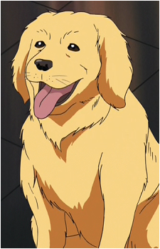 Chuutaro's image