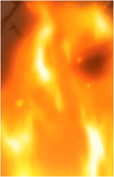 Image 24