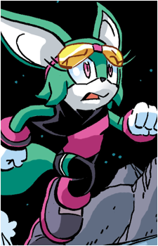 Sonar the Fennec