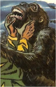 Gorilla {BD}'s image