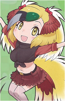 Greater Bird-Of-Paradise