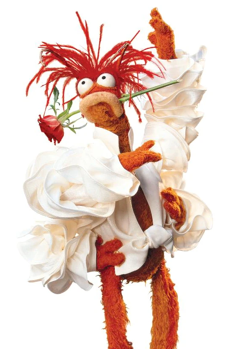 Pepé the King Prawn