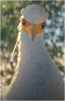 Bird {Flow}