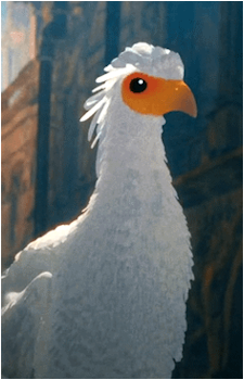 Bird {Flow}