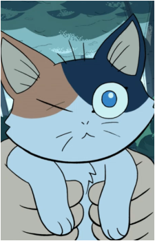 Cat Steven's image